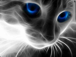 invier_hot's profile banner image
