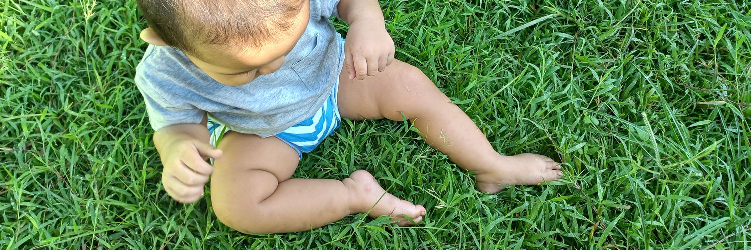 Anugrah Inara Adani banner