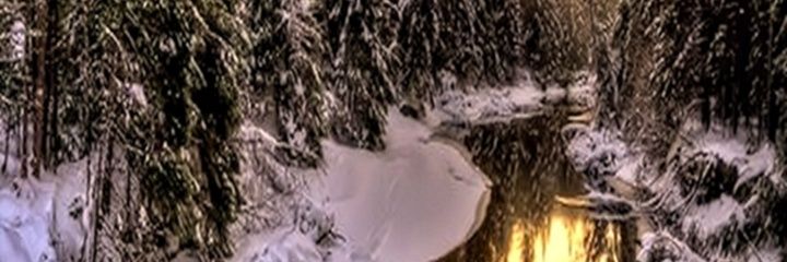 RobertCanessa's profile banner image