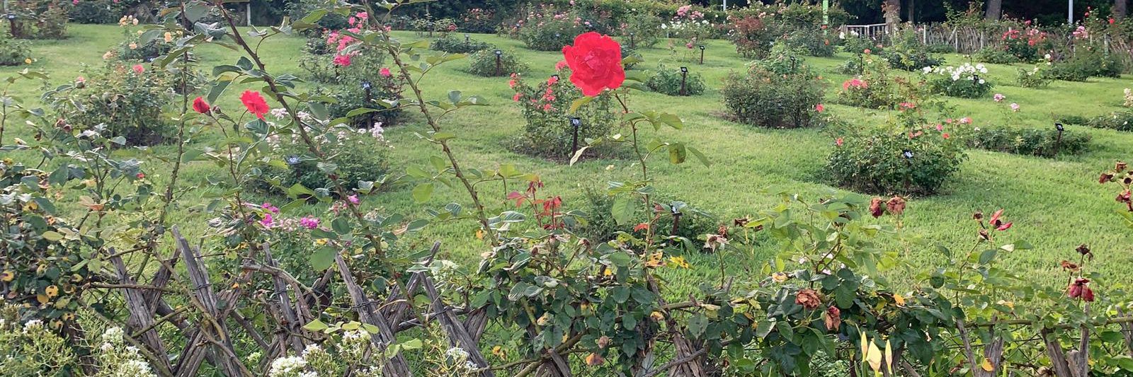 QueUsBombinATots banner