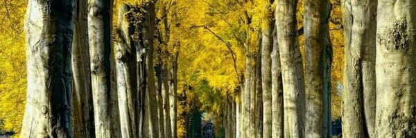 Chatchai2500 Profile Banner