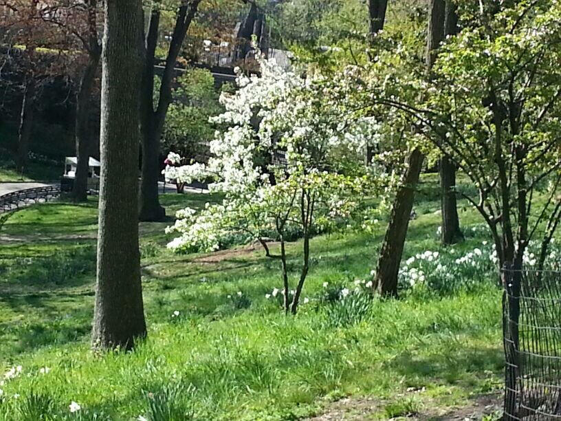 غادة الحارثي banner