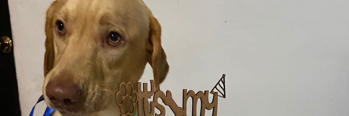 kristelye's profile banner image