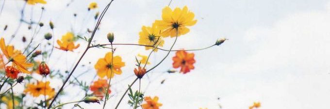 carlsss21's profile banner image