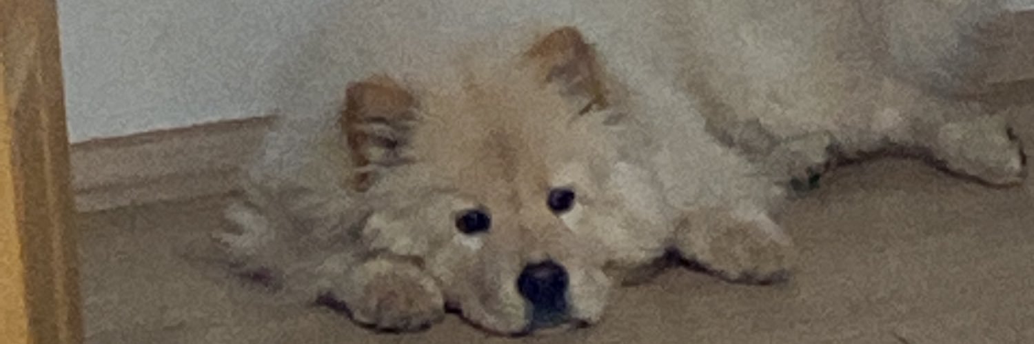 BaklavaBody's profile banner image