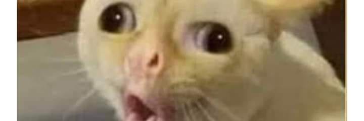 Serch4ud's profile banner image