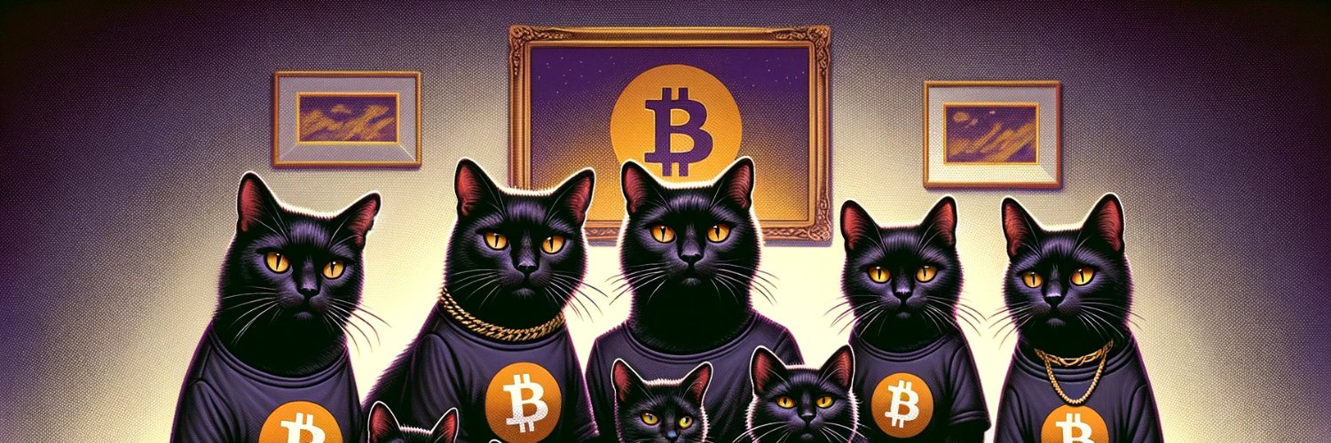 negro_a_secas's profile banner image
