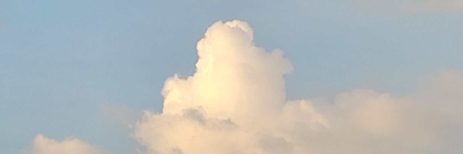 starpeny's profile banner image