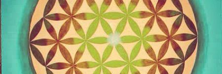 cesiniga's profile banner image