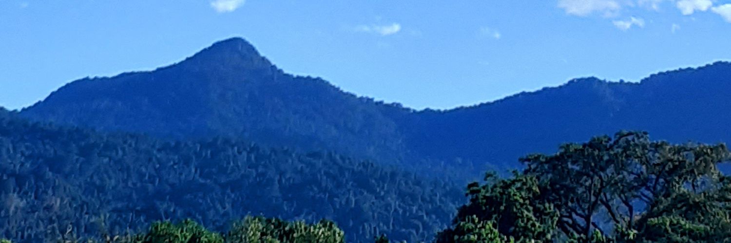riocuira's profile banner image