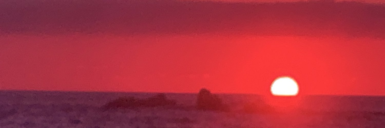 aracyvdp's profile banner image