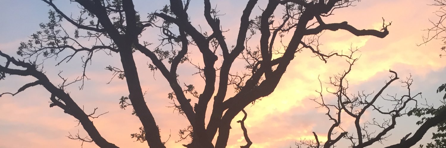 moriaahlarson's profile banner image