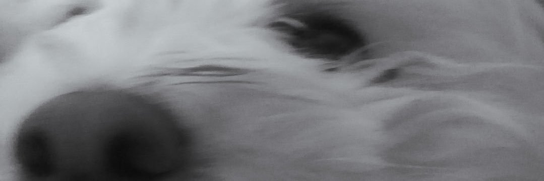 Oricazon_'s profile banner image