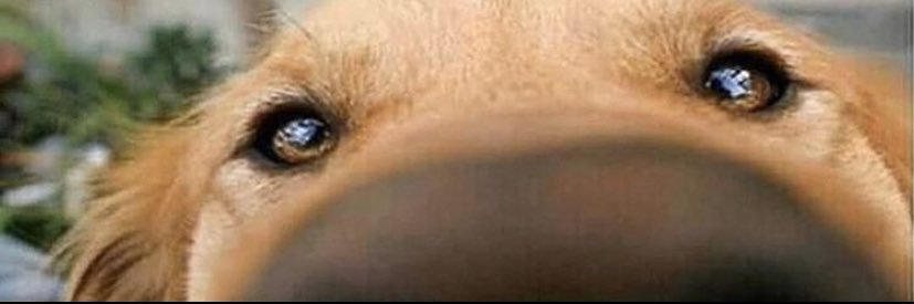 asapgiu's profile banner image