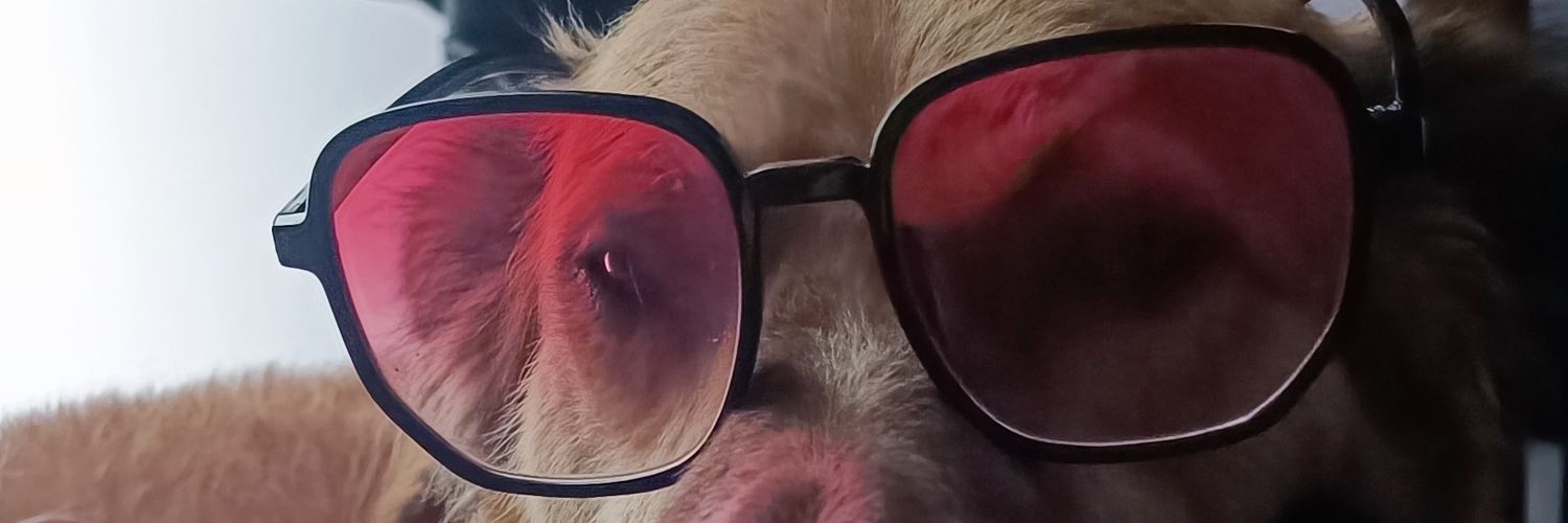 alcossu's profile banner image