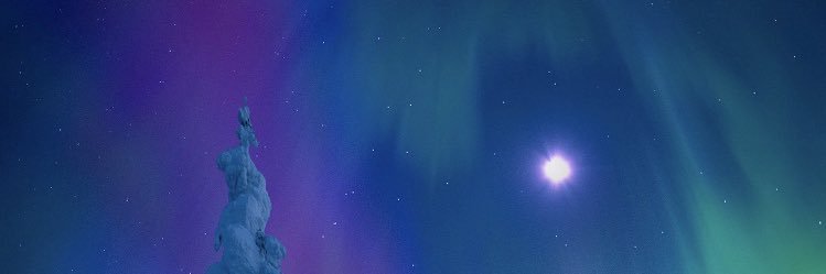danetrain999's profile banner image