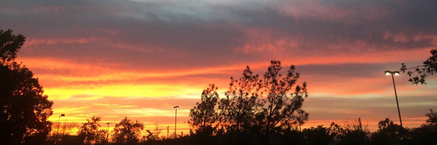 TaylorReese8's profile banner image