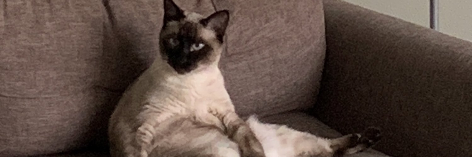 ythleo's profile banner image