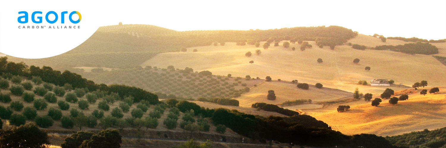 samuelaloni's profile banner image