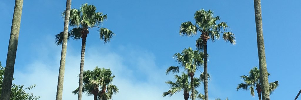 erixleee's profile banner image