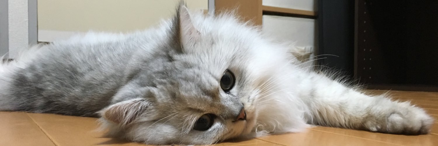 mutanosuke's profile banner image