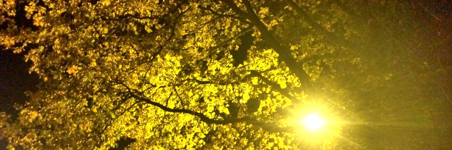 theoriginmedia's profile banner image