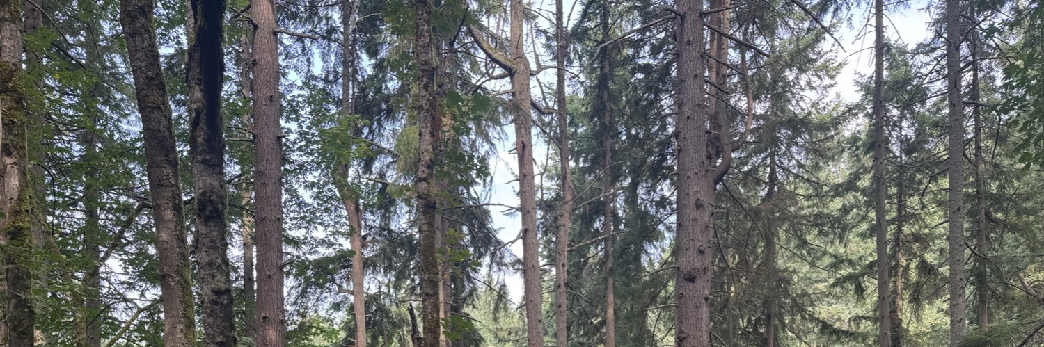 sewerchick's profile banner image