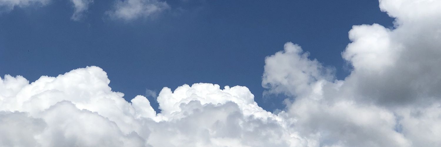 vilasiny98's profile banner image