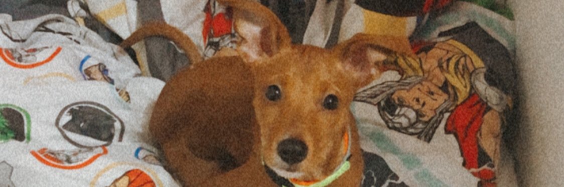 Candiunavarro's profile banner image