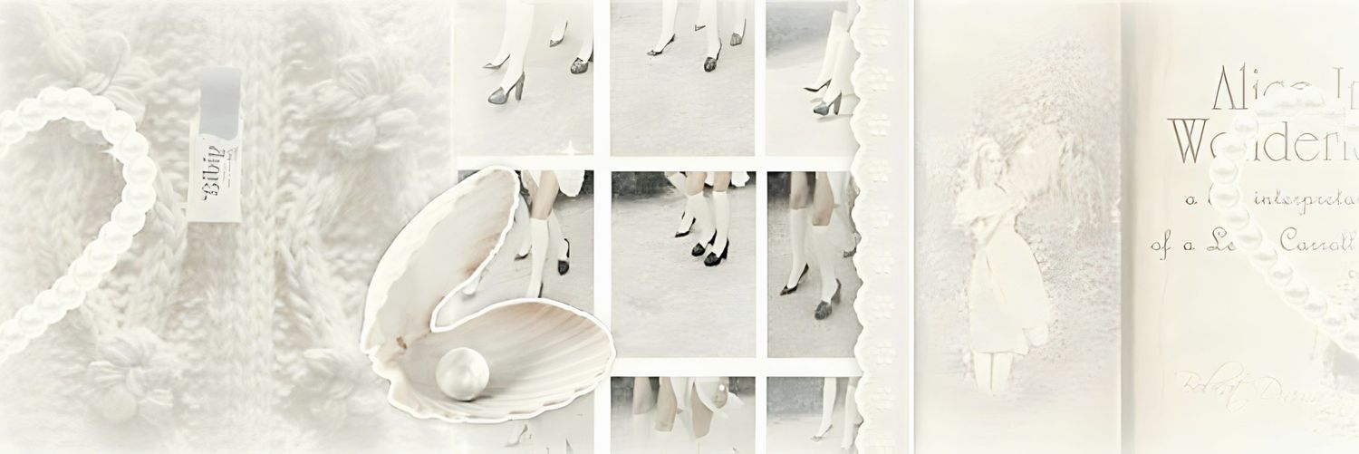 ⋆ ୨୧ : 베르나이스의 시선의 아름다움 banner