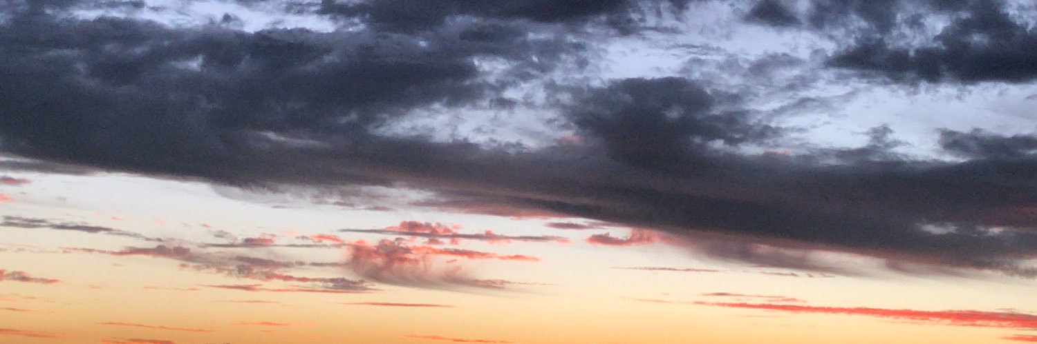 EFMenezes's profile banner image