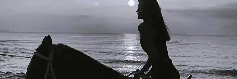 JonesClarkd's profile banner image