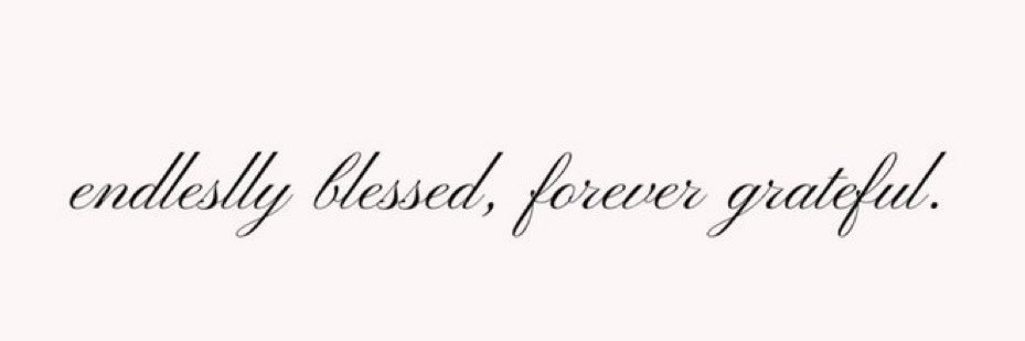 amavi_fides's profile banner image