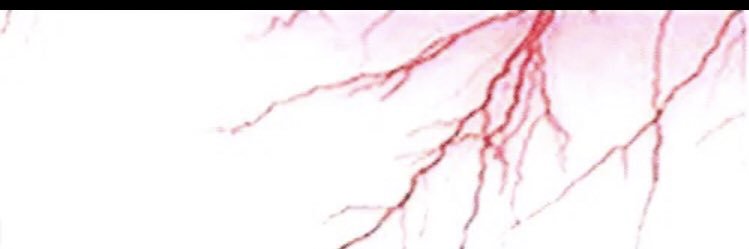 dalt0000n's profile banner image