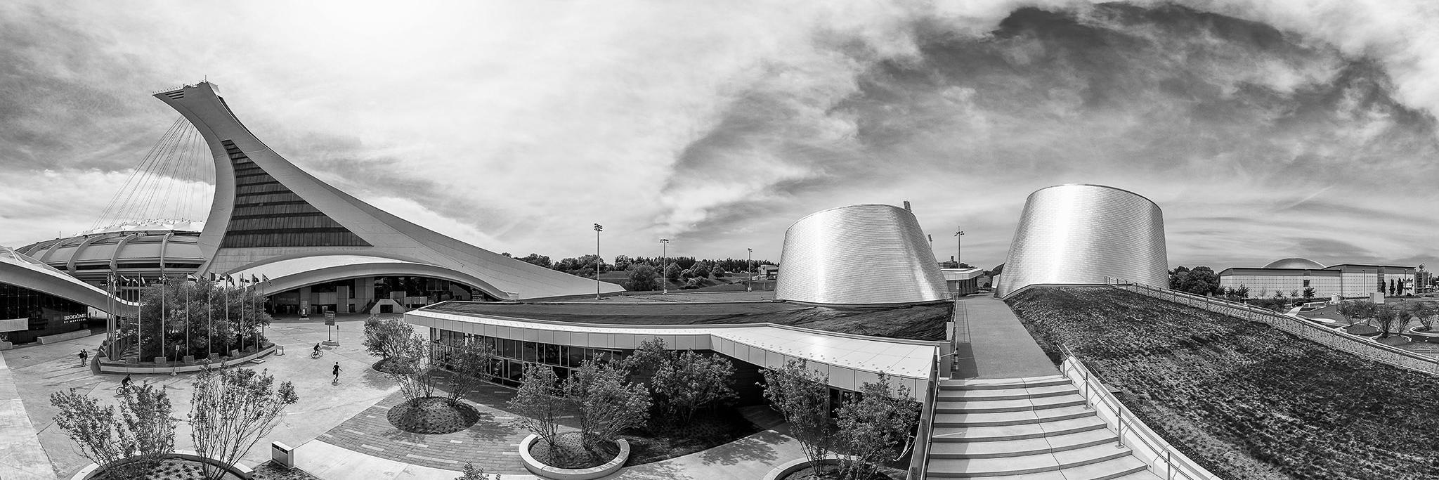 Philippe Paradis banner