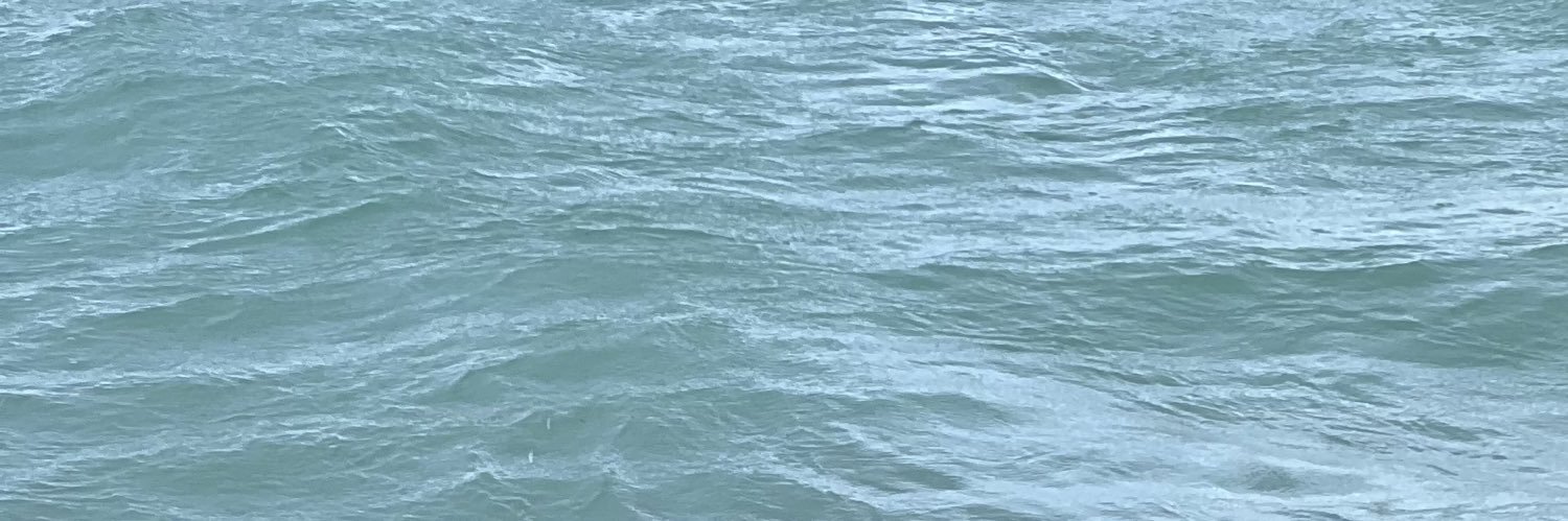 dimabonu's profile banner image