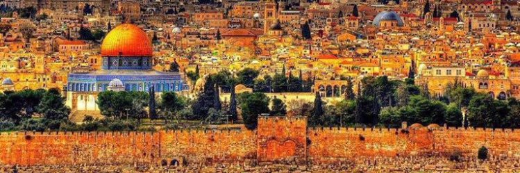 fado بنت الأرض🔻's banner