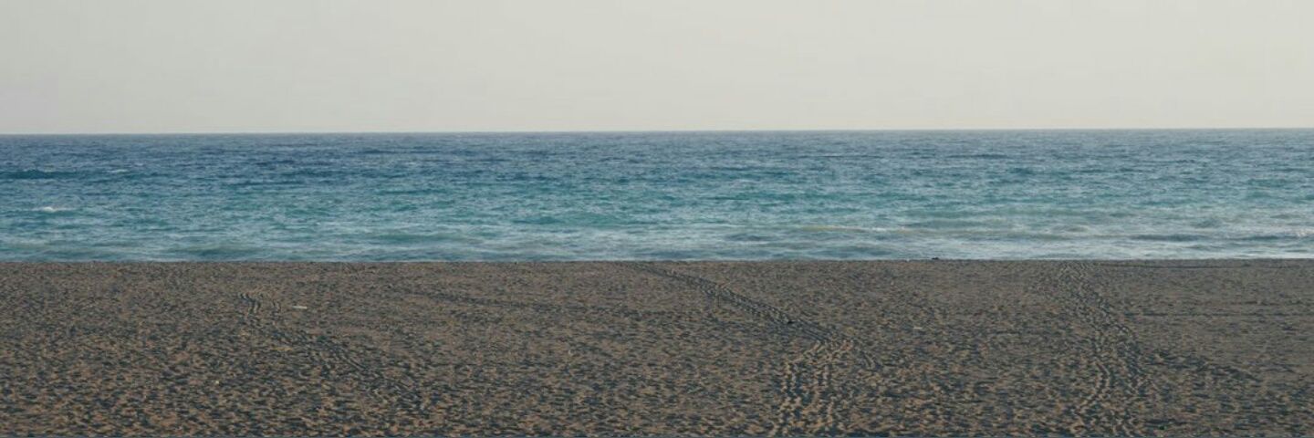 didemmemi's profile banner image