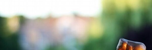 manasidsakpal Profile Banner