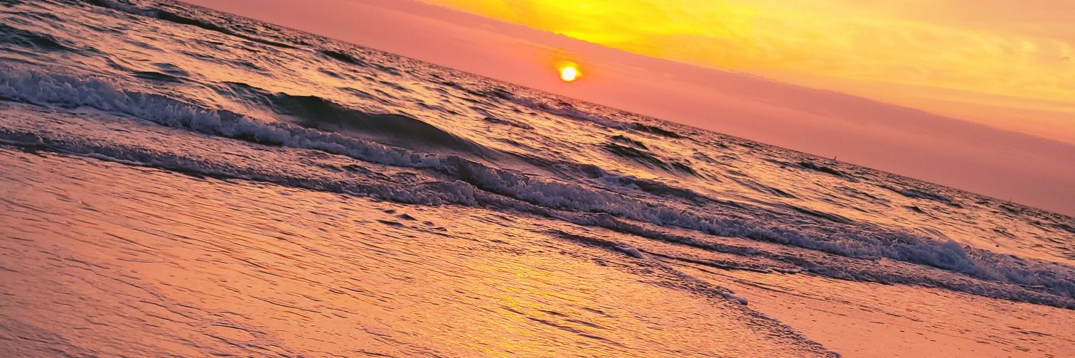 RayanneTanner's profile banner image