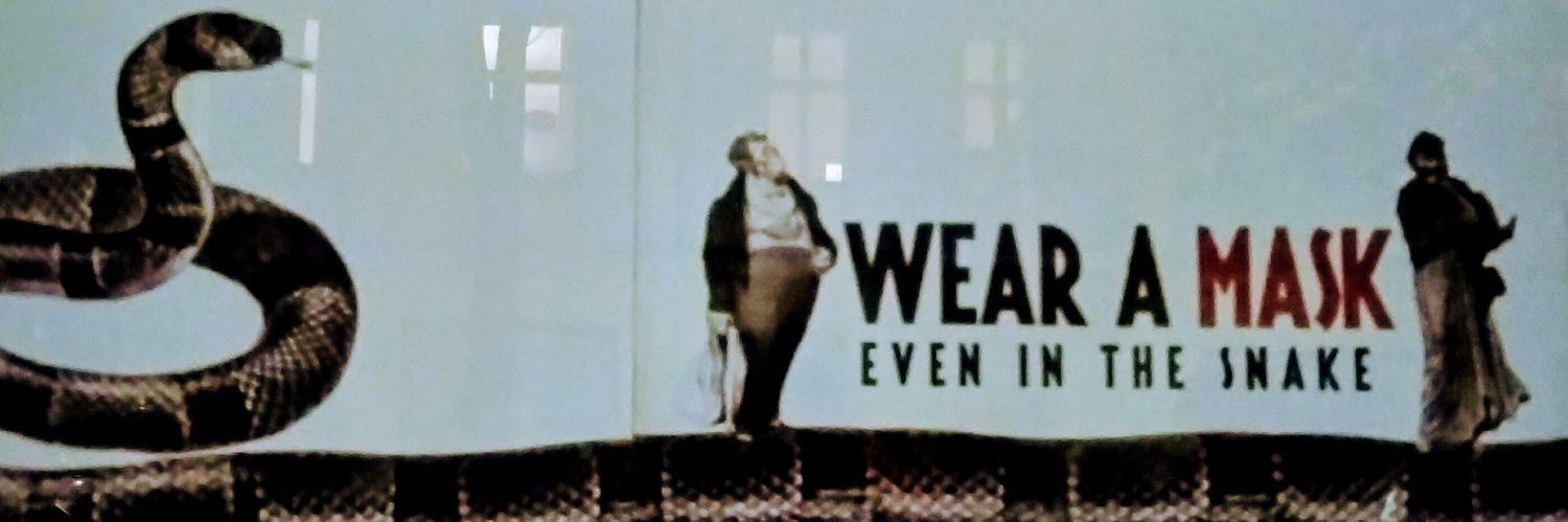 Sebastian Hoos banner