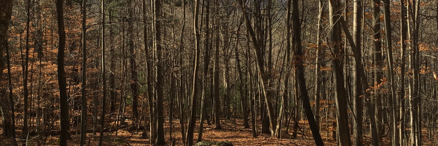StaffanAlm1's profile banner image