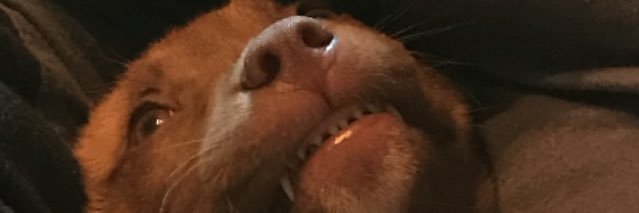 MadisonRains3's profile banner image
