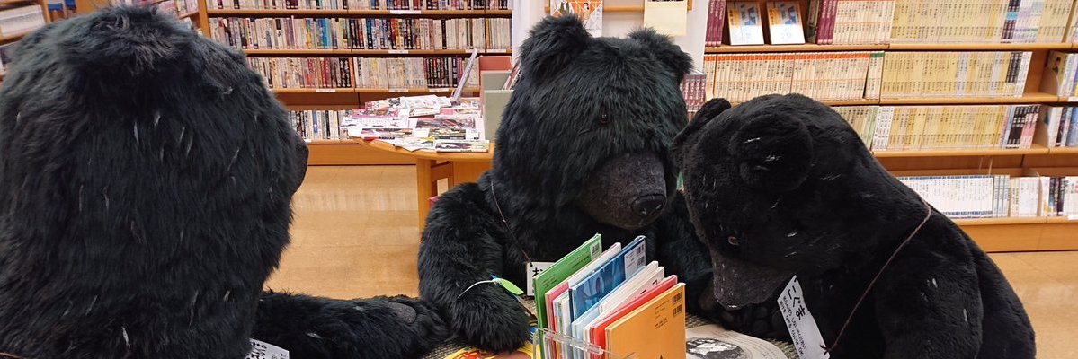 kashimalib's profile banner image