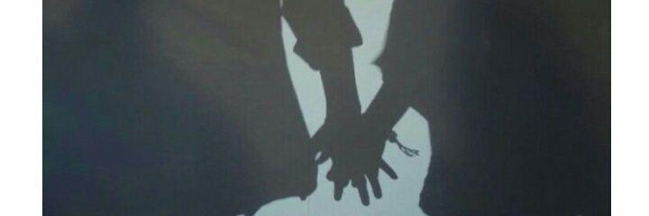 ozilya_rin's profile banner image