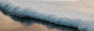 mno_alkhaldi's profile banner image