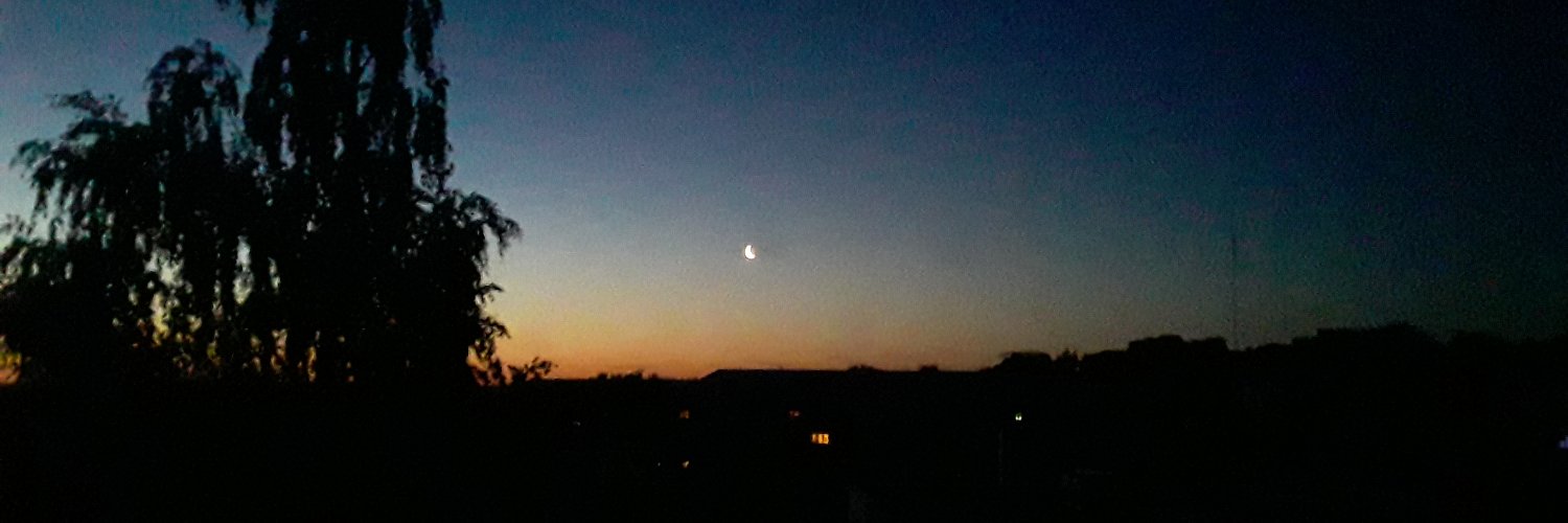 Vlad van der Veiber banner