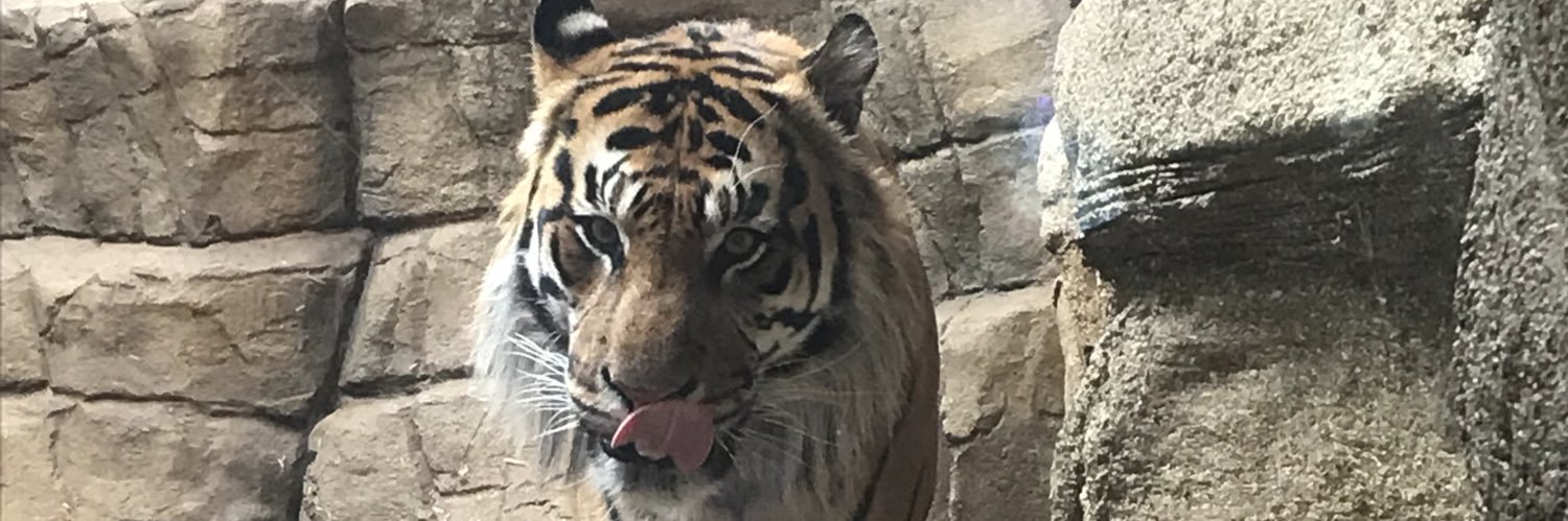 Brooklynn_2's profile banner image