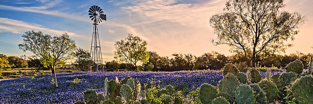 CountryBmpkin45's profile banner image