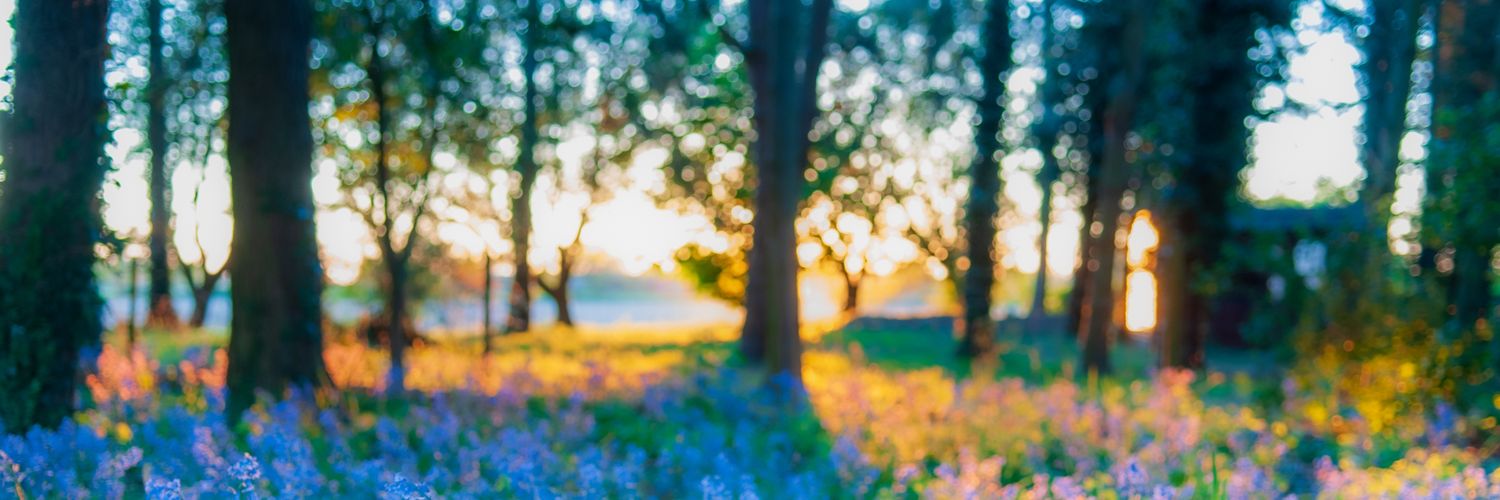 njhowell's profile banner image